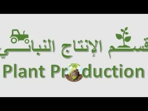 ماهو قسم الإنتاج النباتي معلومات جديدة علي قسم الإنتاج النباتي جامعة دمنهور