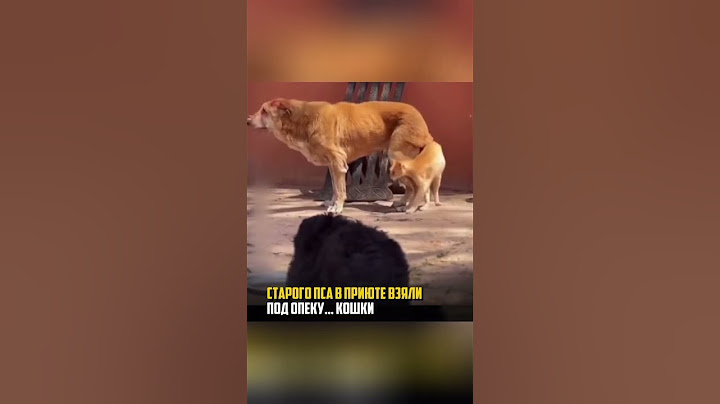 Делитесь теплом и добром и они обязательно к вам вернутся❤️