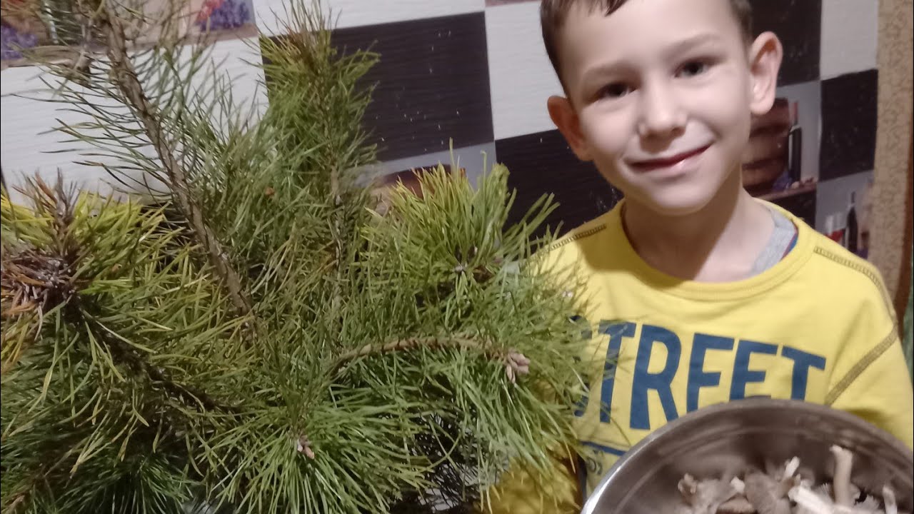 Кеша шкода./ Выходной день. / - YouTube