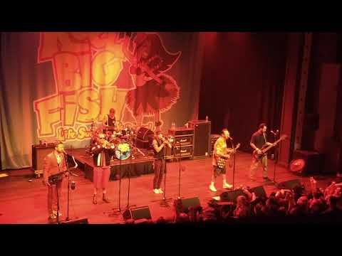 Reel Big Fish - Life Sucks... Let's Dance (Live) - Roxian Theatre 2019