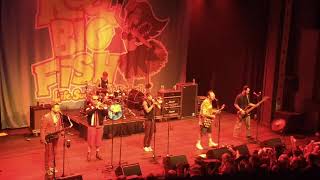 Reel Big Fish - Life Sucks... Let's Dance (Live) - Roxian Theatre 2019