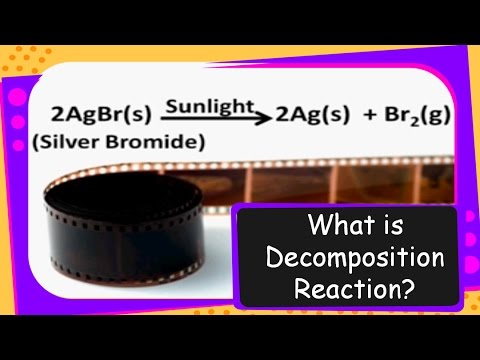 What Is The Meaning Of Decomposition In Science