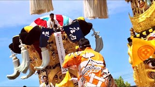 八房五葉松(舞鼓) mqdefault.jpg