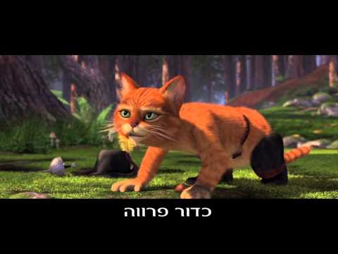 החתול של שרק חנוכה בקולנוע 
