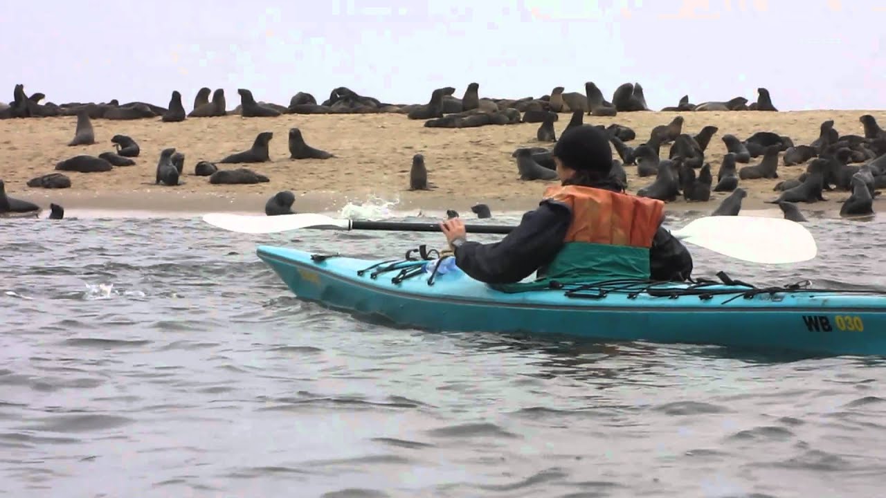 kayak tours walvis bay
