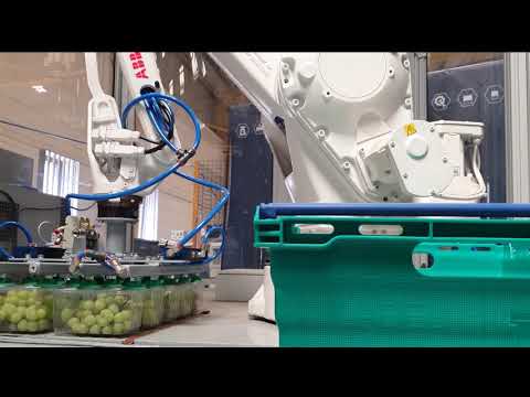 Robot Automation and Packaging, Pallet Stacking | RMGroup