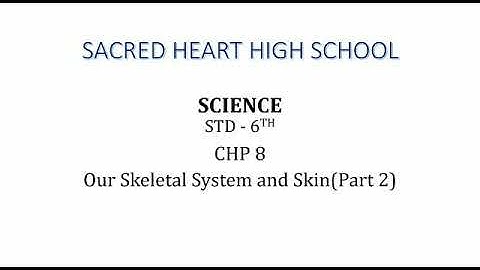 Std: VI: Science: Chp 8 : Our Skeletal system and Skin ( Part 2 )