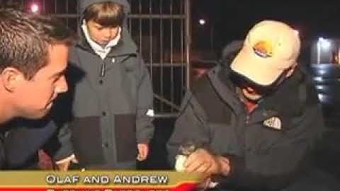 Close-Up A1 + : Unit 3 Iceland Puffins