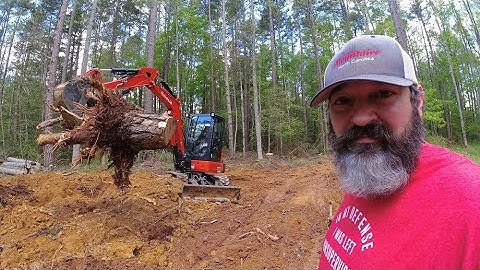 Stump Removal In Real Time