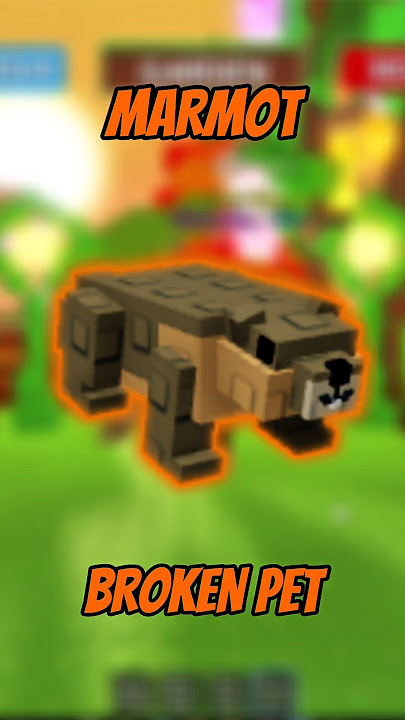 MARMOT PET is OP! #growagarden #growagardenroblox #growagardentips #shorts