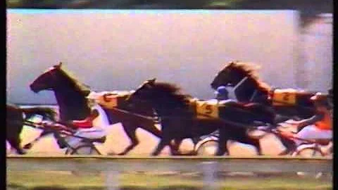 1984 Quinn's Fashions Handicap - Addington, Christ...