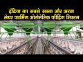 इंडिया का सबसे सस्ता और अच्छा लेयर फार्मिंग फीडिंग सिस्टम  India's best layer farming feeding system