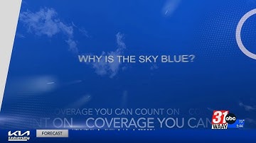 Anello Answers It: Cicada Season Explained