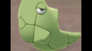 Whats Inside A Metapod?