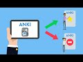 Anki Flashcard Best Practices Quiz