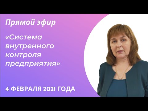 Система Внутреннего Контроля в организациях