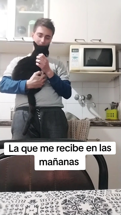 Contento de haberte sacado  de esa fábrica mugrienta #animales #amorgatuno #parati #short #viral