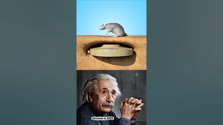 Sigma physics teacher🗿#shorts #sigmaphysics #physics