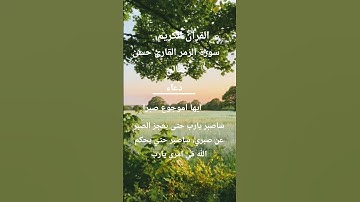 سورة#الزمر#المصحف #تلاوات_رائعة #اكسبلور #