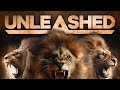 Unleashed mens conference  questions  answers session