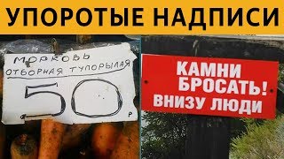 ТЕСТ на УПОРОТОСТЬ: САМЫЕ ЛЮТЫЕ ОБЪЯВЛЕНИЯ и ВЫВЕСКИ - ТУПОРЫЛАЯ МОРКОВЬ