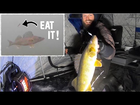Ice Fishing BIG Walleyes at Last Light + Underwater Footage! 