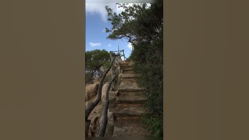 I edit with Luminar Neo – AI tools, easy UI, and cool presets! Check the link in my bio! #editing