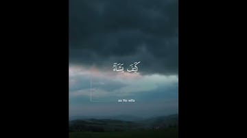 القارئ ياسر الدوسري  /قرآن كريم/ مقاطع قصيرة/ تلاوة عطرة خاشعة/ حالات واتساب دينية