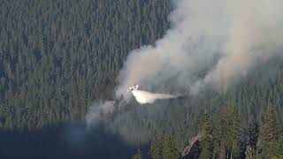 Wildfire Update.  Grizzly Fire, Umpqua National Forest