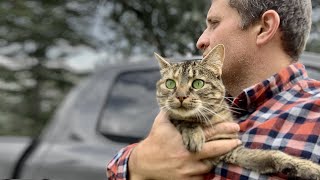 Something's Wrong with Lil Barn Cat