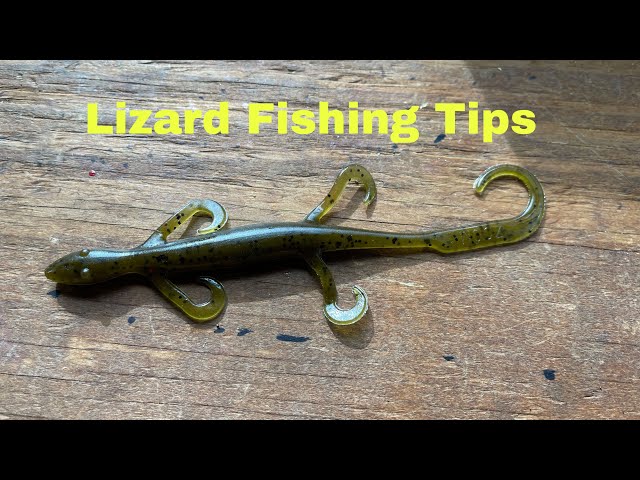 How To Rig And Fish A Soft Plastic Lizard 