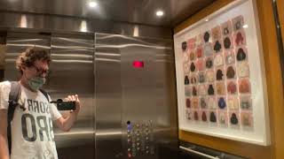 ThyssenKrupp Traction Elevators At The Crosby Street Hotel In Soho NYC
