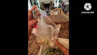 Cooking Noodles/Pansit bihon ala @jmullins vlog Good luck sa last LC❤️