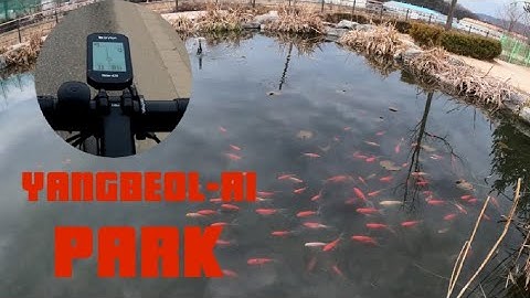 bryton rider 420 follow track (navigator) testing