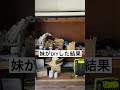 姉の部屋の押し入れを、妹がDIYをした結果.....⁈ #diy #tiktok #shorts