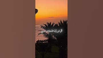 سورة المؤمنون/ ياسر الدوسري #تلاوة_خاشعة #المصحف #الدين