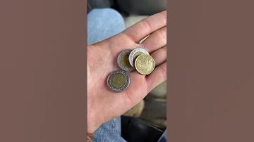يوم كامل في بورسعيد بدولار 