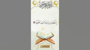 دقائق من الخشوع. #نبض_التسبيح #قرآن_كريم #تلاوة_خاشعة #المصحف #الصلاة_على_النبي #الذكر