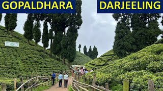 বর্ষায় দার্জিলিং এর পাহাড়ি পথে | Okayti Tea Estate | Gopaldhara Tea Garden | Lepchajagat