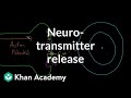 Neurotransmitter release | Nervous system physiology | NCLEX-RN | Khan Academy