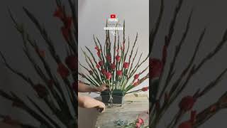 elaboración de arreglo con: / rosas rojas / gladiola / arreglos para buda / iglesia / altar