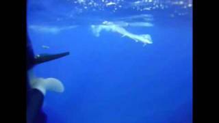 cuda attacking mahi