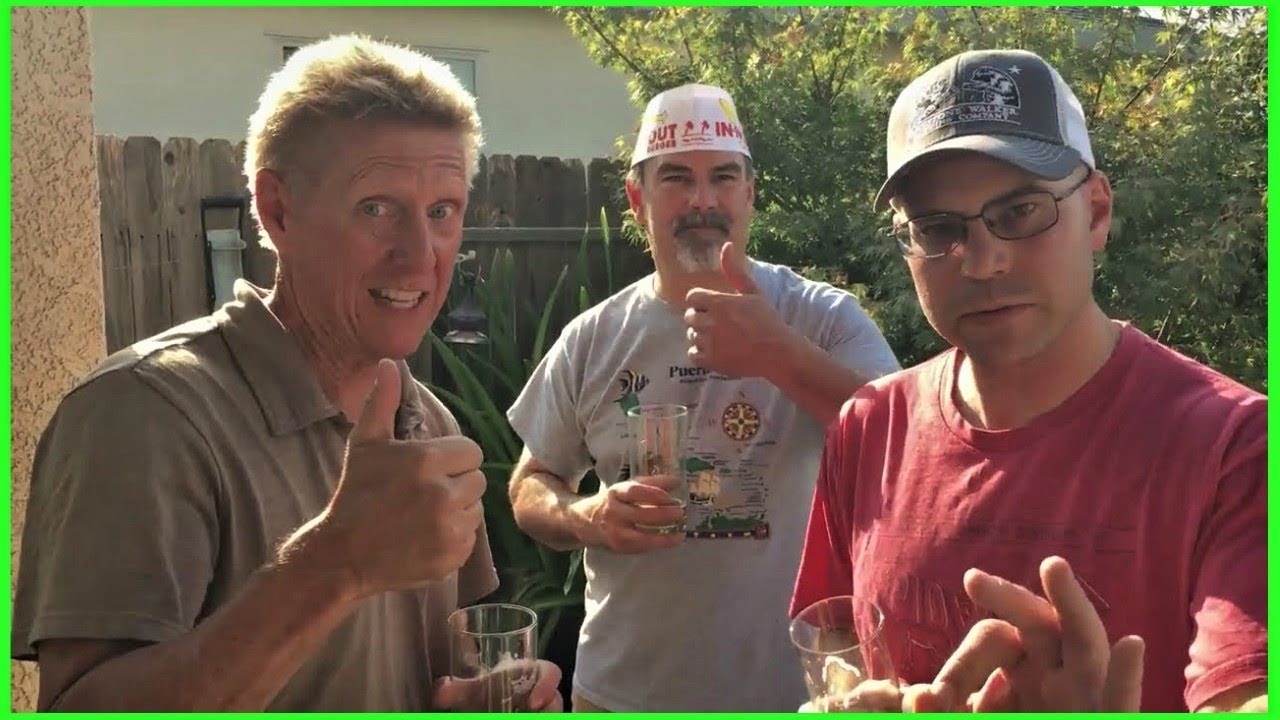 The Big Sur Double IPA Dank Citrus Pine Beer by Barrelhouse Brewery