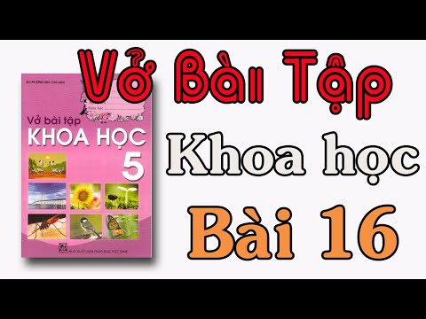 Video VỞ BÀI TẬP KHOA HỌC LỚP 5 BÀI 16 TRANG 31,32 PHÒNG... - YouTube