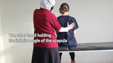 Sitting Stability: Rhythmic Stabilization