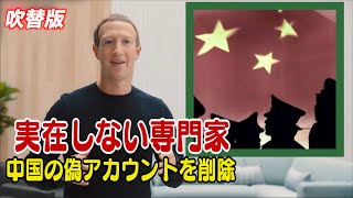 〈吹替版〉FacebookとTwitter 中国の偽アカウントを削除＝実在しないスイス人専門家