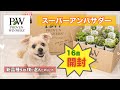 PWスーパーアンバサダー2026春苗スタート 僕が選んだ16苗はこちら アニュアル10ペレニアル3 シュラブ3品種 開封します🥰