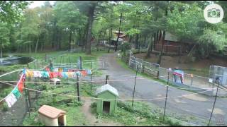 Lainie Vpen Cam 120Pm 5262017