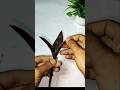 Easy leaf hack 🤩#crafts #lifehacks #shorts #ytshorts