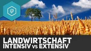 Intensive Und Extensive Landwirtschaft Landwirtschaft In Industrie Entwicklungslandern 2 Youtube